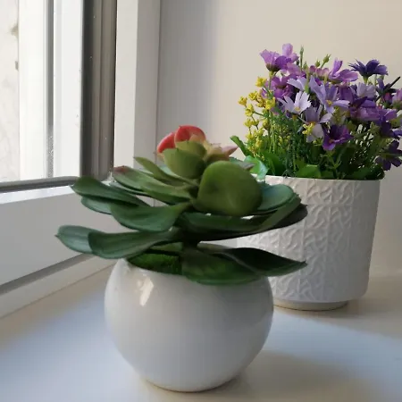 Casa Malu ベッド・アンド・ブレックファスト 3*