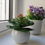 Casa Malu Alojamento de Acomodação e Pequeno-almoço 3*